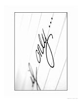 If Only... Abstract Photographic Poster Print by K. M. Watkins, 16x20