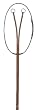 RODRIGO PESSOA Flat Running Martingale