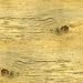 Artistek Barnwood Worcester Image