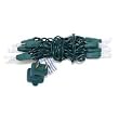 Christmas Holiday Clear String Light Set of 15 with Green Wire