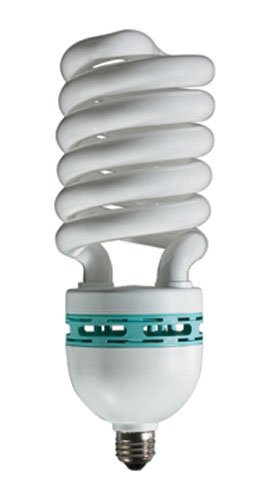 85 Watt Compact Fluorescent Light Bulb / CFL Spiral / 400 Watt Incandescent Equivalent / 5000K / Medium Base