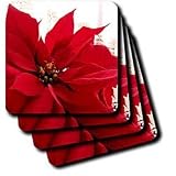 Flowers - Poinsettia - Coasters