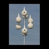 13.5' Aluminum Spiral Purple Martin Pole Kit With 8 Gourds