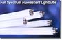 Full Spectrum Fluorescent Lamps-PHILIPS TL 950 - T8 (98 CRI, 5000 K, 48", 32 Watt, T8 - Case of 25)