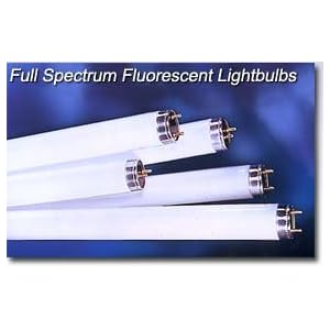 Full Spectrum Fluorescent Lamps-PHILIPS TL 950 - T8 (98 CRI, 5000 K, 48, 32 Watt, T8 -...