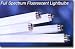 Health & Personal Care : Full Spectrum Fluorescent Lamps-PHILIPS TL 950 - T8 (98 CRI, 5000 K, 48", 32 Watt, T8 - Case of 25)