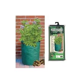 POTATO PLANTER