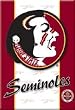 Florida State Refrigerator Magnet