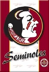 Florida State Refrigerator Magnet