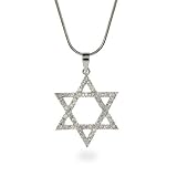 Eve's Addiction Sparkling Sterling Silver Star of David CZ Necklace