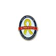 I Support Our Troops Lapel Pin