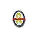 I Support Our Troops Lapel Pin