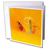 Patricia Sanders Flowers - ladybug in a poppy - Greeting Cards-12 Greeting Cards with envelopes