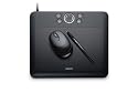 Bamboo Fun (Medium) Black Tablet with Pen, Mouse & Graphics Software