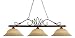 Z-Lite 119-3WB-GM16 55-Inch 3-Light Billiard / Island Fixture with Golden Glass Shades