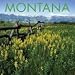 Book Montana 2006 Calendar