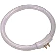 Replacement Bulb for Magnifying Lamp, Magnifier Light or Gooseneck Desk Lamp