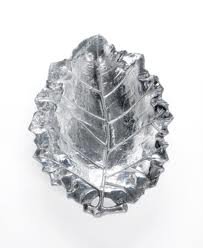 Martha Stewart Collection Serveware, 14" Park Leaves Cabbage Platter
