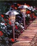 Suntyme SL-i2056C Copper Tiffany Solar Landscape Path Light with 2 LEDs