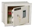 Cobalt EW-3M Safe