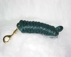 Hamilton 10' x 5/8" Extra Heavy Duty Poly Lead with Bolt Snap, Dark Green