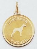 Doberman Pincher Charm -XAC369