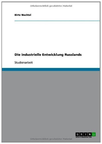 Die industrielle Entwicklung Russlands (German Edition)