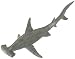 Hammerhead Shark, Wild Safari