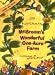 McBroom's Wonderful One-Acre Farm: Three Tall Tales (School & Library Binding)