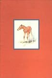 The Red Pony