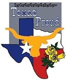 Texas State Flag