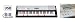 Casio LK220-STAD 61 Key Music Keyboard with Lighted Keys
