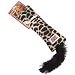 Best products for a multi-cat househould