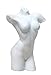 040 8.5 Inch Unglazed Porcelain Figurine Armless Nude-Female Torso