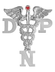 NursingPin - Doctor of Nursing Practice DNP Ruby Graduation Pin in Silver