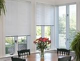 31XIYyhptsL. SL160  1 inch Cordless Mini Blinds up to 30 x 72   Window Blinds  ...