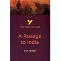 A Passage to India: York Notes Advanced