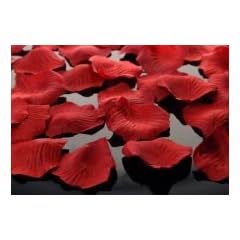 100 Rosenbl�tter Rot Bordeaux
