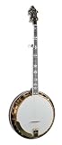 Recording King The Professional Archtop Resonator Banjo, Gold Hardware - B001BM6YW4