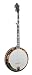 Recording King The Professional Archtop Resonator Banjo, Gold Hardware