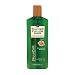 Thicker Fuller Hair Revitalizing Shampoo - 12 fl oz