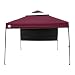 Sporting Goods : Quick Shade Summit 100 Canopy - Merlot