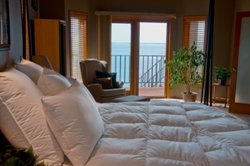 Monarch Hypodown Comforter/Duvet - Twin - arctic/700 Loft