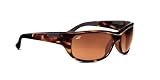 Serengeti Trento Sunglasses