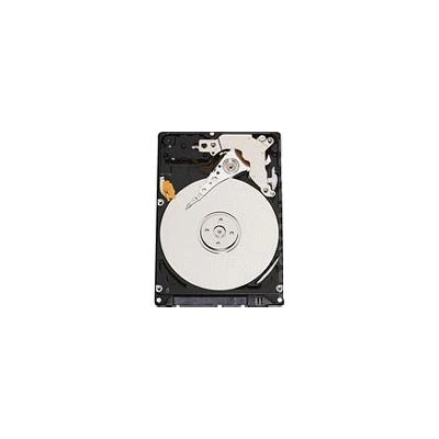 Western Digital 160 GB Scorpio PATA Mobile Internal Hard Drive WD1600VERTL (Blue)