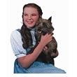 Wizard of Oz Dorothy and Toto Die-Cut Photographic Magnet