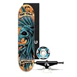 Tony Hawk Birdhouse Headress Skateboard Deck Complete (Comes Assembled)