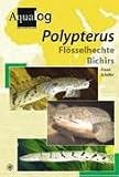 Aqualog Polypterus
