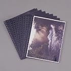 Glossy Archival Clear Vinyl Presentation Pages, 8-1 2 x 11, 10 Pack by SAFCO
