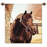 Alpaca wool tapestry, 'Show Horse'